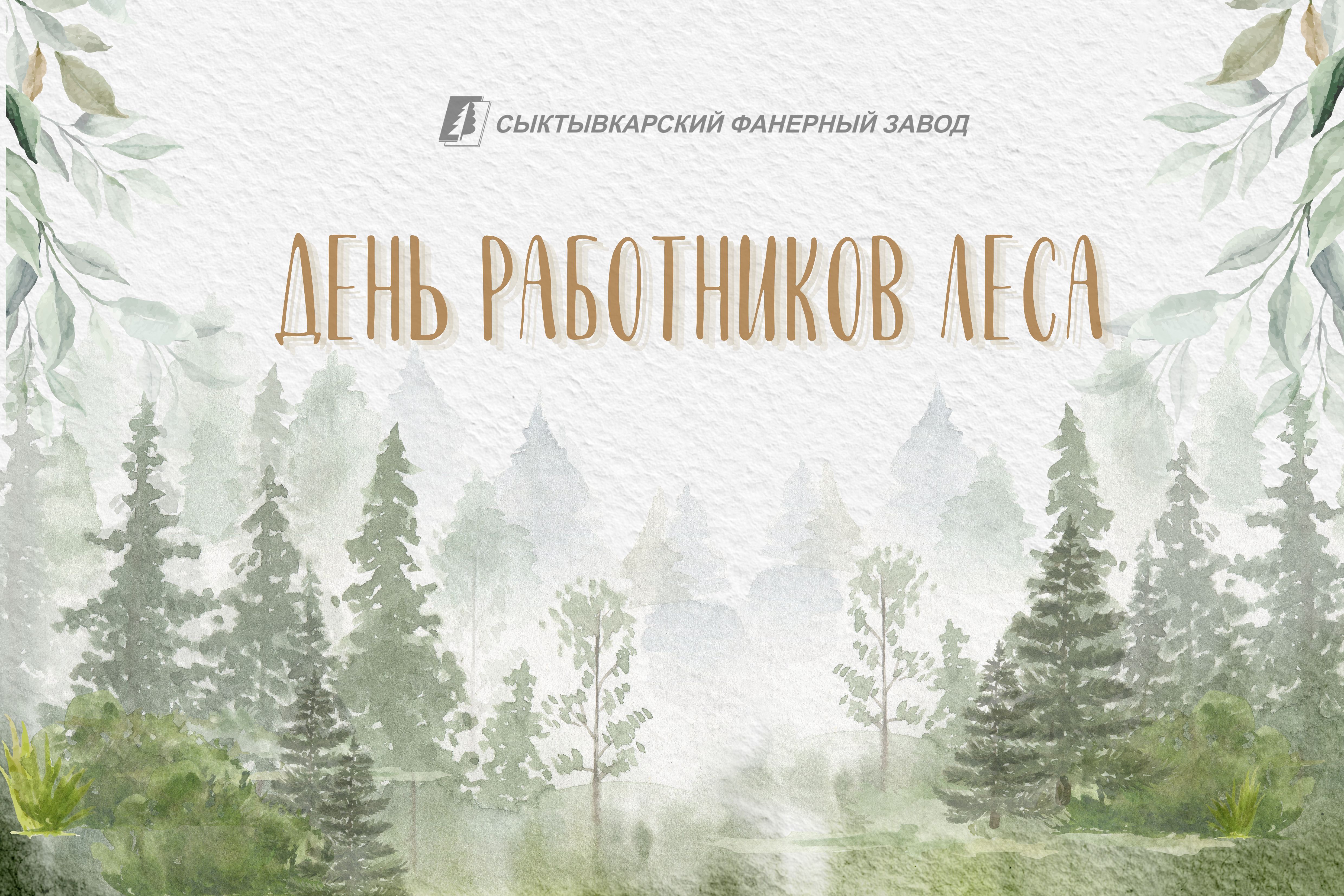 Congratulations on the Day of Forest and Wood Processing Industry Workers!