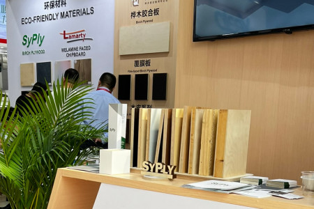  Syktyvkar Plywood Mill ltd. and Tianma Lvjian на Interzum Guangzhou 2024 | 9